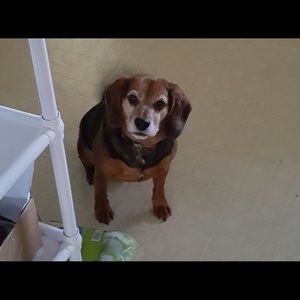 Meet your Posher, Andy